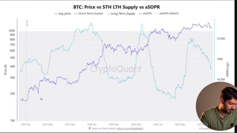 هنر زنده ماندن در کریپتو | بررسی جامع خرید بلندمدت بیت‌کوین و اتریوم