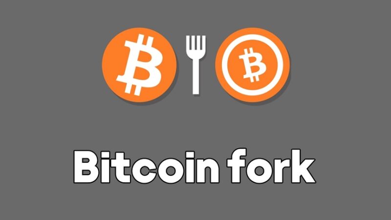 فورک بیت کوین چیست؟ معرفی مهم‌ترین فورک‌های بیت کوین