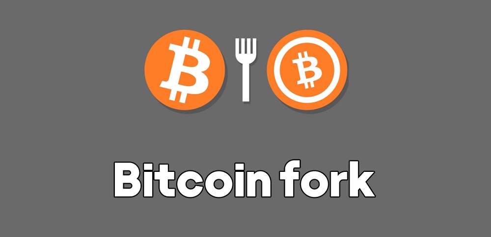 فورک بیت کوین چیست؟ معرفی مهم‌ترین فورک‌های بیت کوین