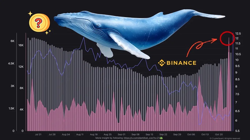 خرید سنگین نهنگ‌های بایننس؛ سیگنال صعودی برای یونی‌سواپ (UNI)