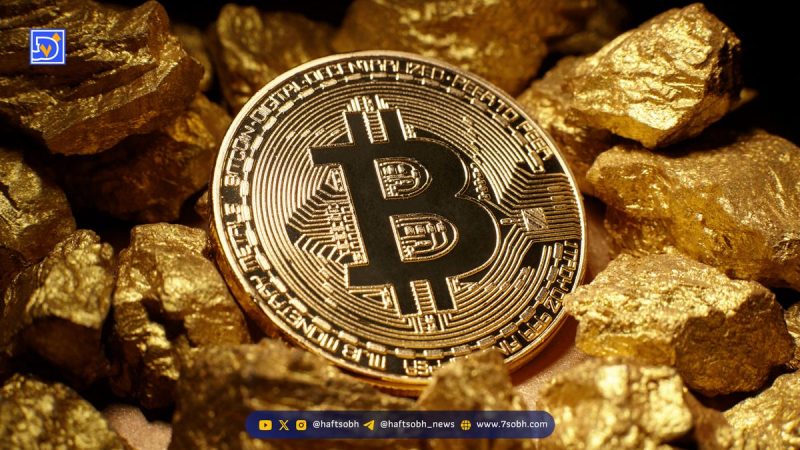 شرکت‌های خزانه داری بیت‌کوین در تقابل با حباب: راهبردهای متمایز برای بقا