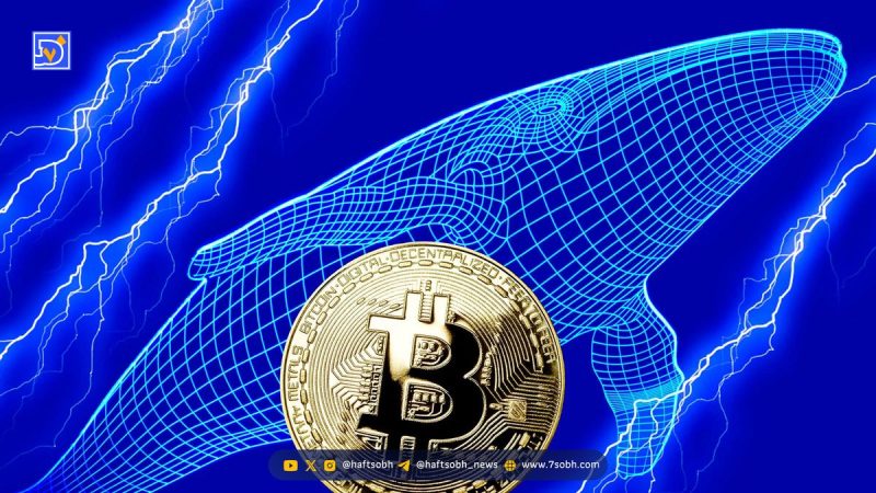 تحلیل بیت کوین (۱۶ مهر): سود هنگفت نهنگ‌های کوتاه‌مدت؛ قیمت BTC به کدام سمت می رود؟
