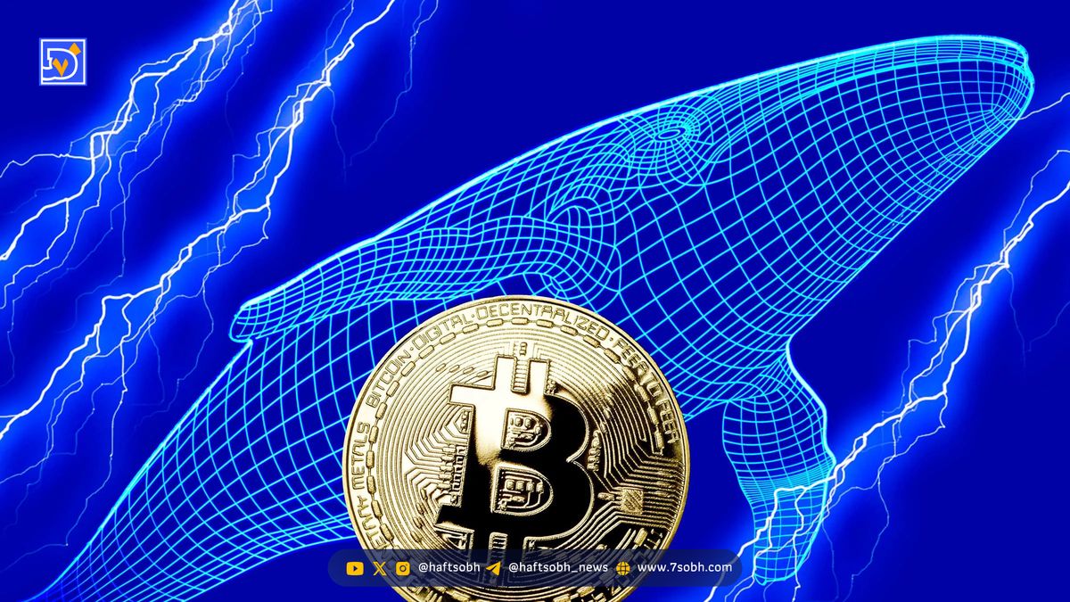 تحلیل بیت کوین (۱۶ مهر): سود هنگفت نهنگ‌های کوتاه‌مدت؛ قیمت BTC به کدام سمت می رود؟