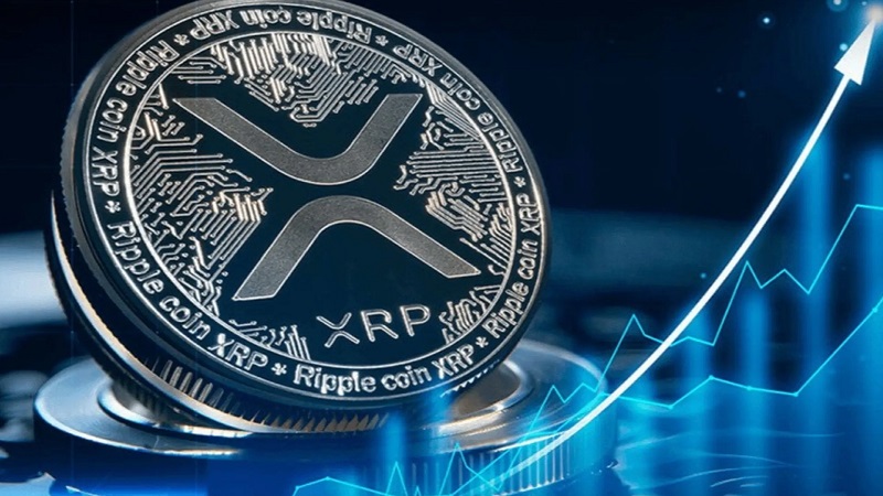 استفاده از بلاک‌چین ریپل برای انتقال سریع و شفاف کمک‌های بشردوستانه جهانی