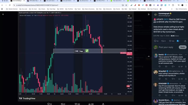 این گروه از آلتکوینها آماده پامپ هستند