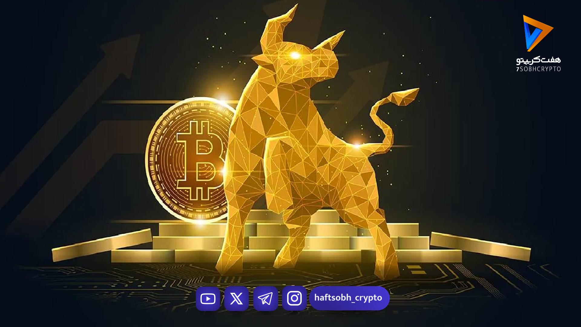 کریسمسِ سبز؟ بیت‌کوین و S&P 500 آماده رالی پایان سال