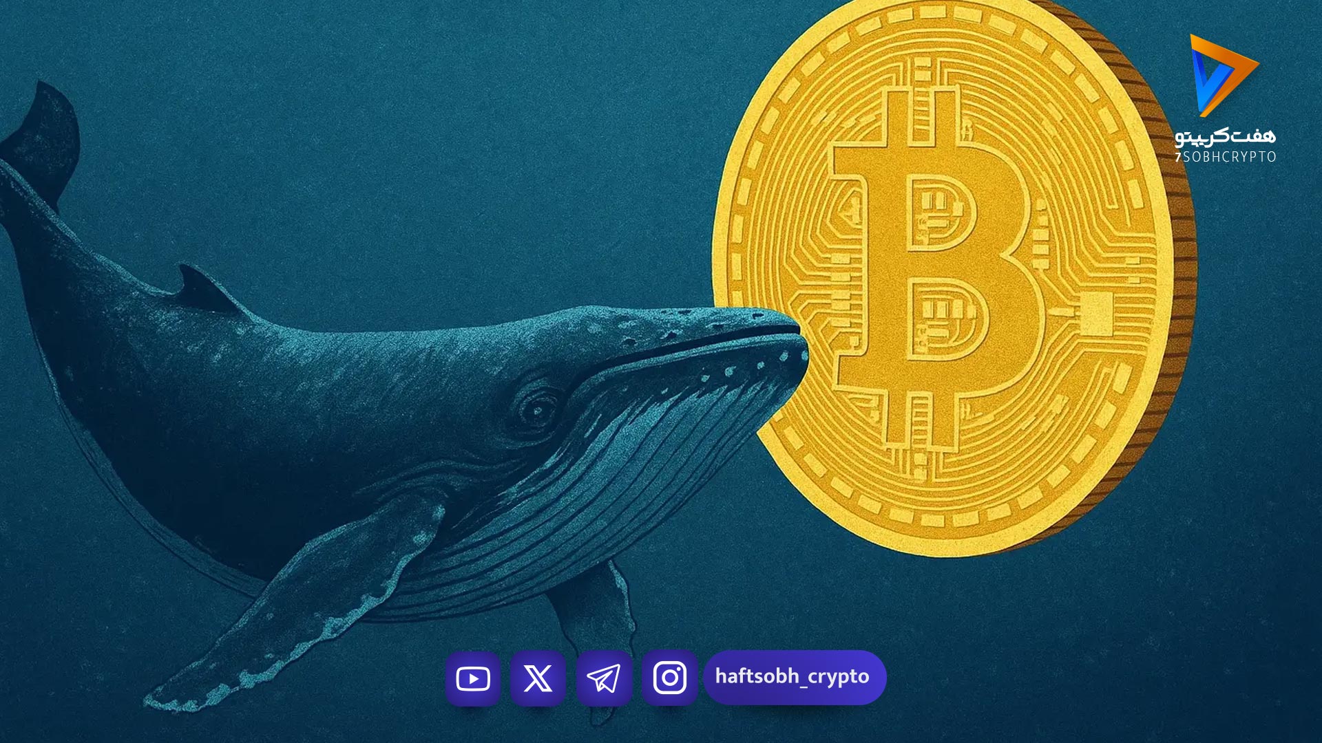 تحلیل جدید بیت‌کوین؛ هشدار الگوی هارمونیک درباره ریزش ۵۵ درصدی