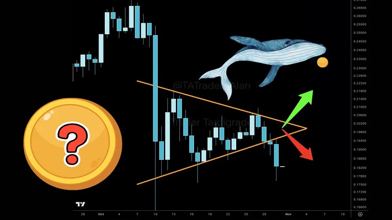 فروش ۴۴۰ میلیون توکن توسط نهنگ‌ها؛ فشار فروش سنگین بر بازار میم‌کوین‌ها