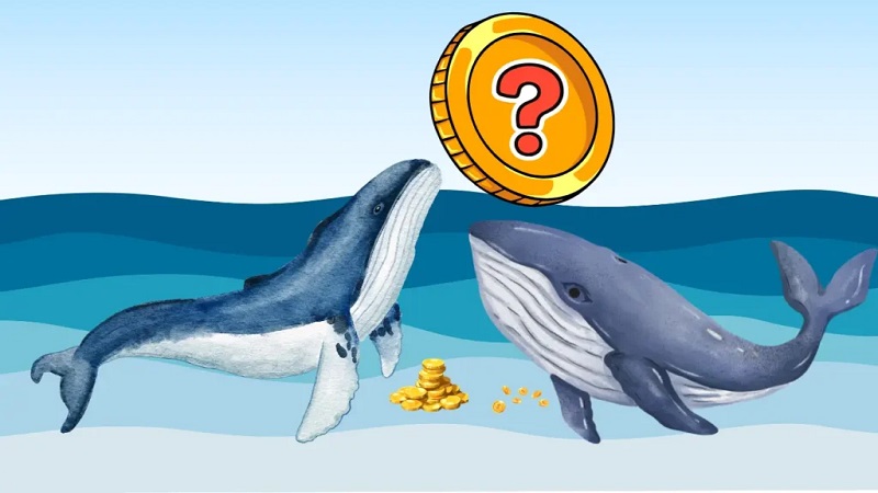 افزایش خرید اتریوم توسط نهنگ‌ها هم‌زمان با رکود بازار