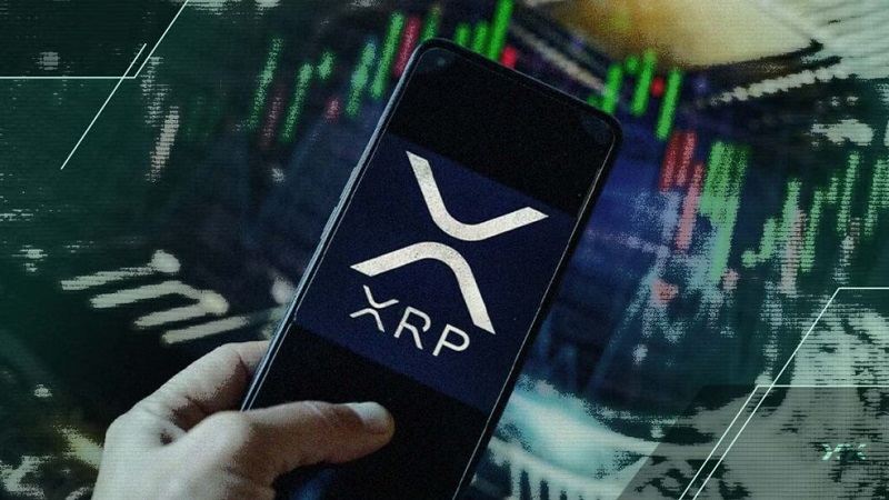 ریزش اخیر بازار چه اثری بر سوددهی دارندگان ریپل گذاشته است؟