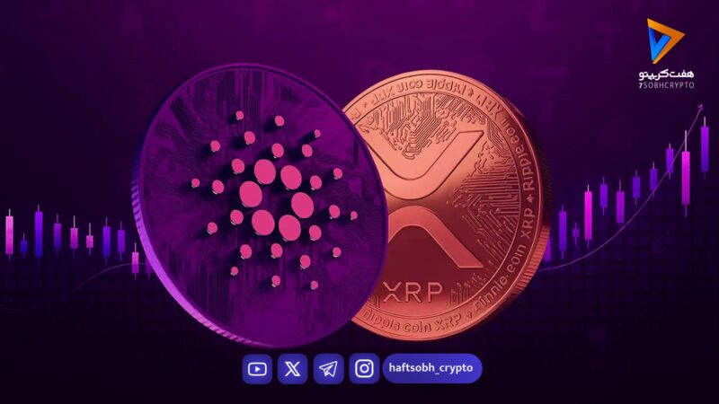 نبرد آینده‌دارها؛ ریپل یا کاردانو؟ کدام‌یک چشم‌انداز روشن‌تری دارد؟ 