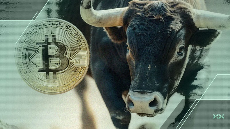 سامسون مو: هنوز در ابتدای مسیر صعود بیت‌کوین هستیم