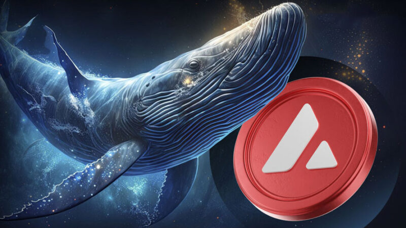 انباشت ۱۱۰ میلیون دلاری نهنگ‌ها در اولانچ؛ آیا موج صعودی تازه آغاز شده است؟