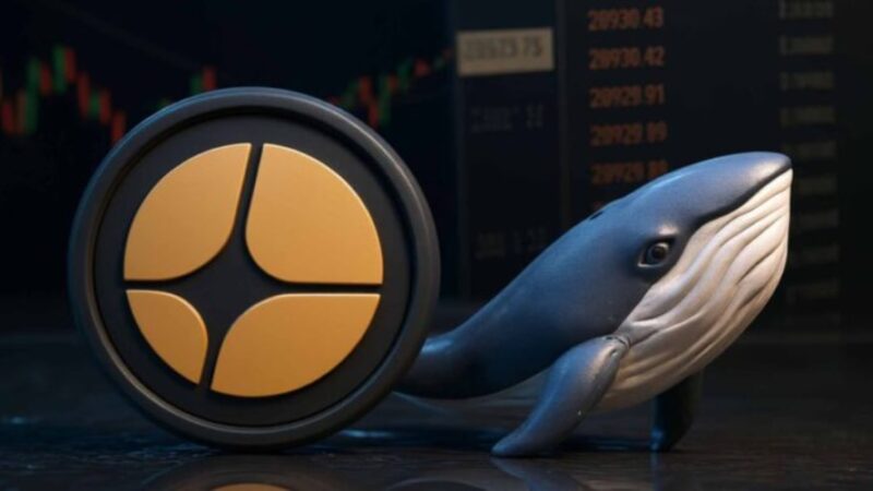 انباشت ۳۱۰ میلیون دلار استر توسط نهنگ‌ها؛ روند صعودی ASTER تقویت شد