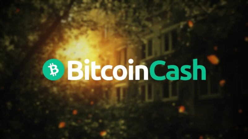 بیت‌کوین کش با رشد ۲۴ درصدی، به هدف ۶۰۰ دلاری نزدیک می‌شود