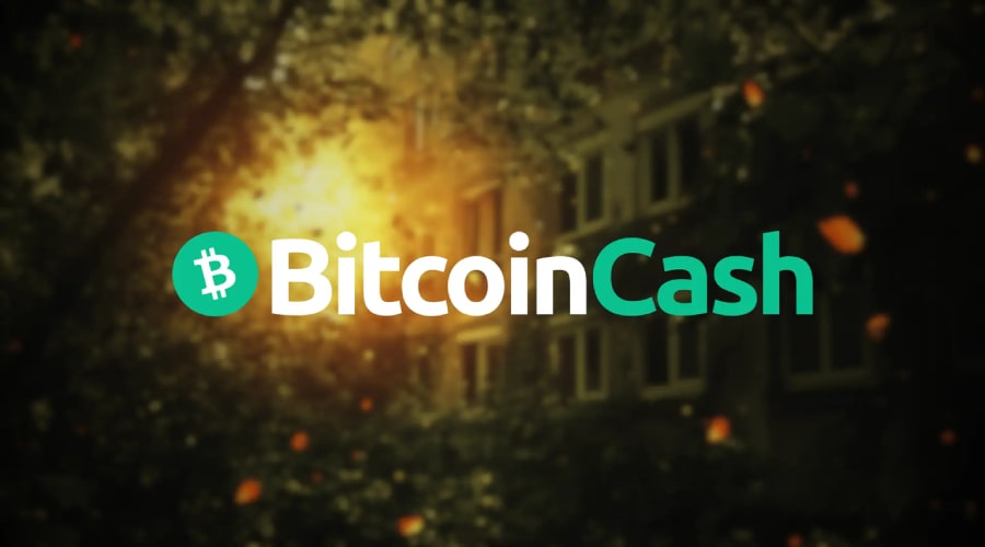 بیت‌کوین کش با رشد ۲۴ درصدی، به هدف ۶۰۰ دلاری نزدیک می‌شود