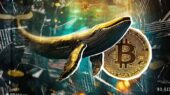 انباشت بیت‌کوین توسط نهنگ‌ها در پی سقوط قیمت به زیر ۹۰ هزار دلار