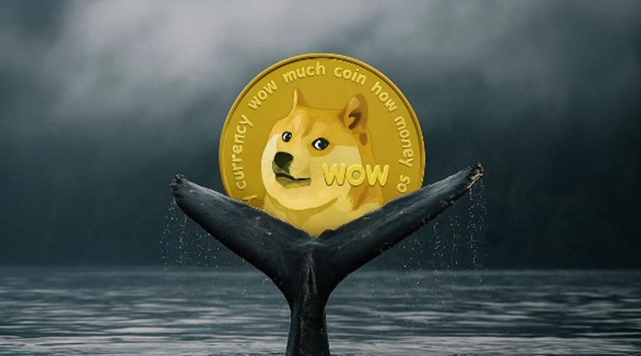 تشکیل حمایت قوی توسط نهنگ‌ها و رشد قیمت دوج کوین در ۲۴ ساعت اخیر