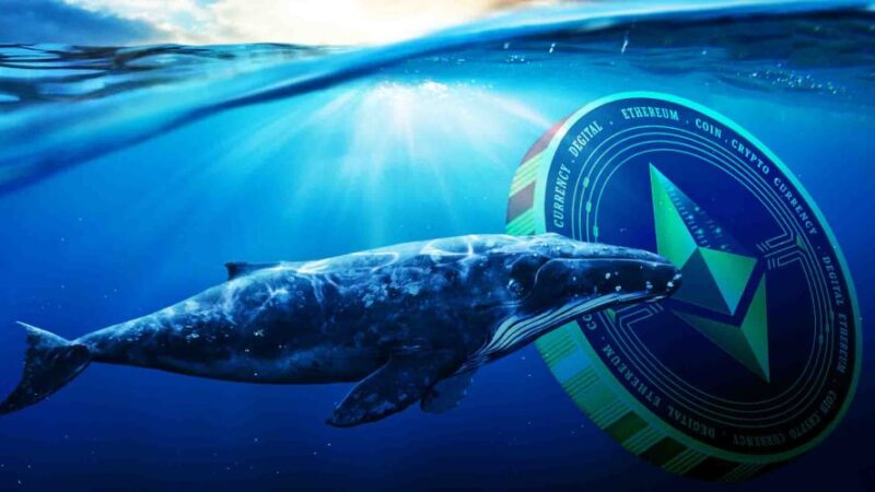 اتریوم در آستانه حمایت کلیدی؛ نقش نهنگ‌ها در حفظ ثبات قیمت