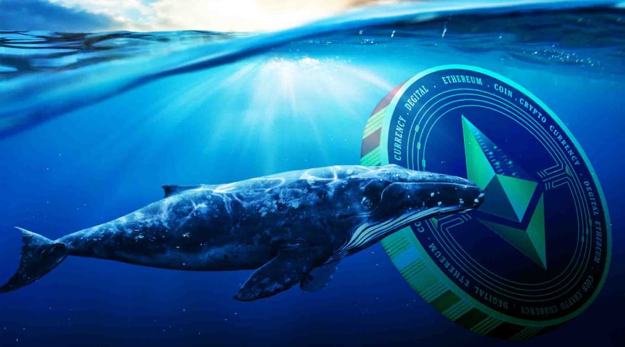 اتریوم در آستانه حمایت کلیدی؛ نقش نهنگ‌ها در حفظ ثبات قیمت