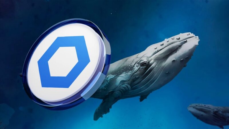 افزایش برداشت روزانه ۳۱۵۰ چین‌لینک از بایننس؛ نشانه‌های انباشت نهنگ‌ها برای رالی جدید