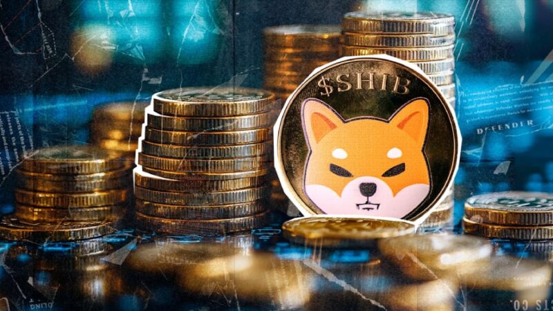 کاهش قابل توجه موجودی شیبا اینو در صرافی‌ها؛ نشانه‌های آغاز رالی بازگشتی