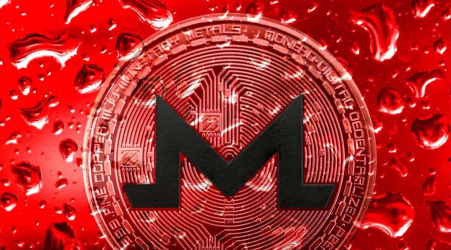 رشد ۵٪ مونرو (XMR) در بازار نزولی؛ برتری توکن حریم خصوصی