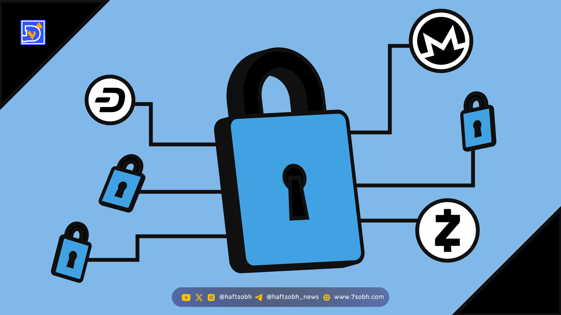 رشد چشمگیر زی‌کش و تحول نگرش به حفظ حریم خصوصی در دنیای رمزنگاری