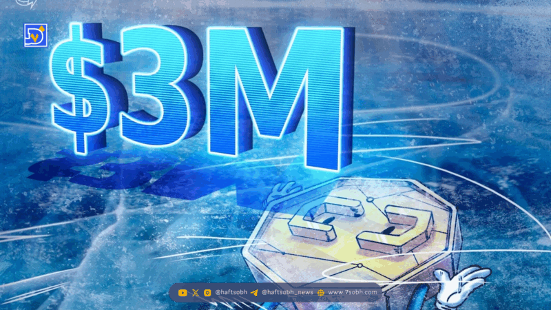 عذرخواهی و آزادسازی سه میلیون دلار توسط MEXC پس از جنجال White Whale
