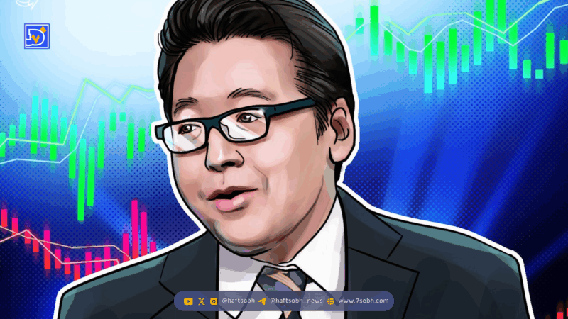 تحلیل تام لی: بحران نقدینگی بازارسازان، دلیل سقوط اخیر بازار کریپتو