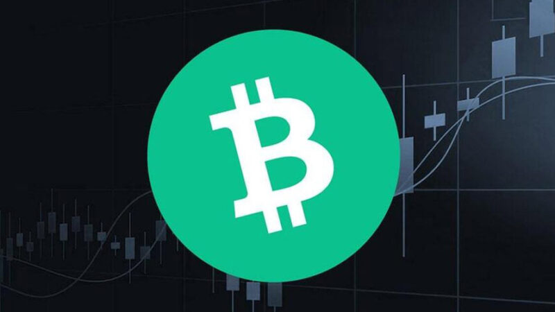 بیت‌کوین کش به حمایت تاریخی نزدیک شد؛ بازگشت قیمت یا ادامه فشار فروش؟