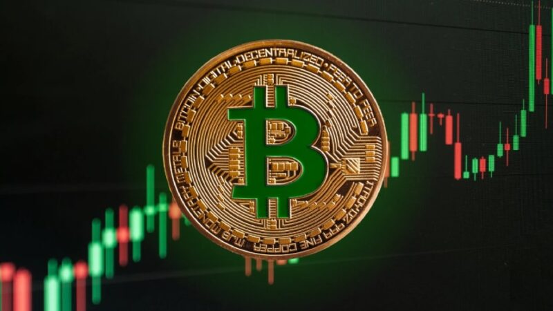 رشد بیت کوین و لیکویید شدن نهنگ معروف