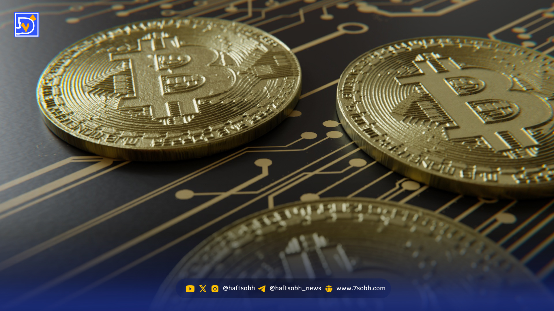 هشدار جنجالی اقتصاددان معروف: حباب بیت کوین با حمایت سیاسی واشنگتن باد شده است