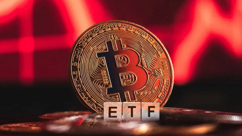 ۵۵۸ میلیون دلار بیت کوین در یک روز برداشت شد!