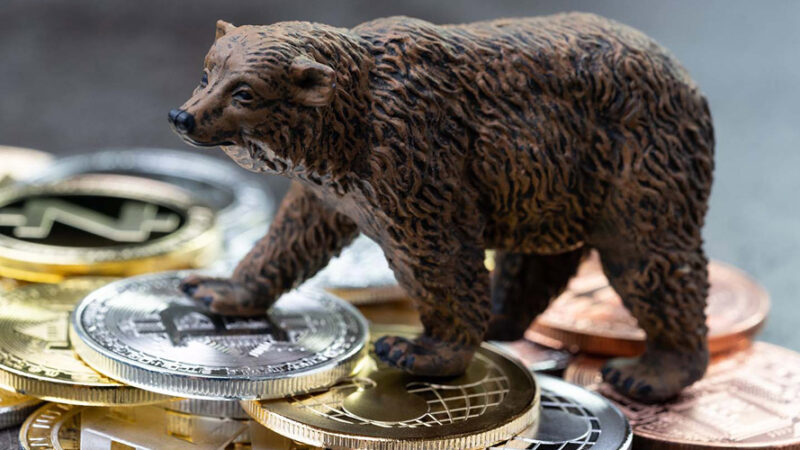 آیا بازار کریپتو وارد فاز خرسی شده است؟ بررسی چرخه قیمت‌ها و چشم‌انداز بیت‌کوین