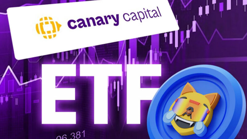 درخواست کنری کپیتال برای راه‌اندازی ETF میم‌کوین ماگ‌کوین