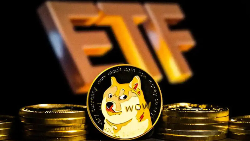 افت حیرت‌انگیز ۸۰ درصدی ETF دوج‌کوین؛ آیا پیش‌بینی ۱ دلاری محقق می‌شود؟