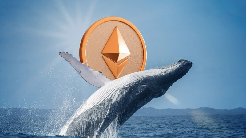 انباشت ۷.۶ میلیون اتریوم توسط نهنگ‌ها پیش از ارتقای فوساکا ETH