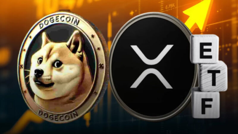 راه‌اندازی همزمان ETF ریپل و دوج‌کوین توسط گری‌اسکیل در ۲۴ نوامبر؛ فرصتی برای تغییر روند بازار