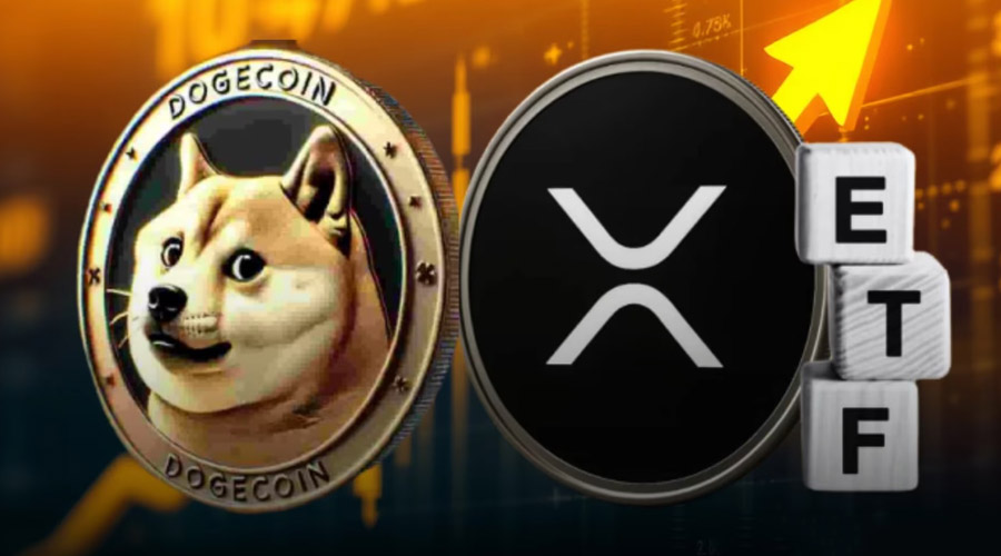 راه‌اندازی همزمان ETF ریپل و دوج‌کوین توسط گری‌اسکیل در ۲۴ نوامبر؛ فرصتی برای تغییر روند بازار