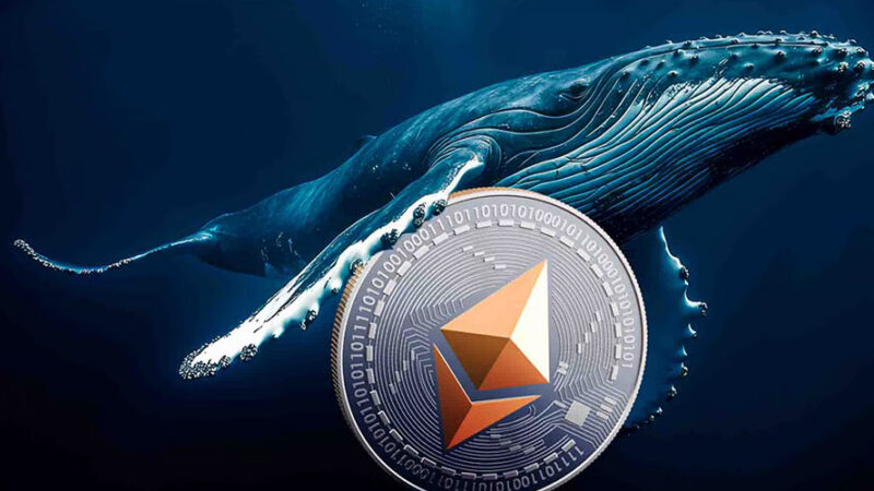 نهنگ مرموز پس از کسب سود ۲۰۰ میلیون دلاری، با پوزیشن لانگ ۴۴.۵ میلیون دلاری برای رالی اتریوم آماده می‌شود