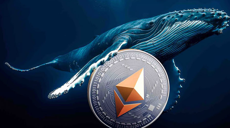 نهنگ مرموز پس از کسب سود ۲۰۰ میلیون دلاری، با پوزیشن لانگ ۴۴.۵ میلیون دلاری برای رالی اتریوم آماده می‌شود