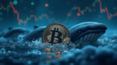 پایان دوره شش هفته‌ای فروش؛ افزایش تراکنش‌های میلیون دلاری نهنگ‌های بیت‌کوین و تأثیر آن بر بازار