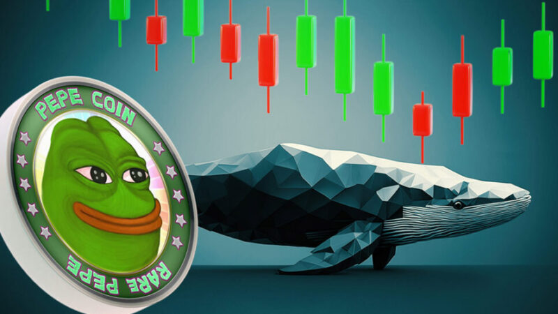 ریزش وحشتناک ۷۵ درصدی پپه؛ آیا نهنگ‌ها می‌توانند معجزه کنند؟