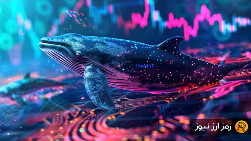 انباشت نهنگ‌ها در بازار نزولی: ۳ توکن کلیدی هدف خرید