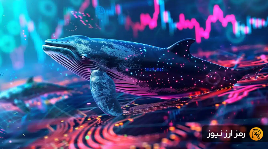 انباشت نهنگ‌ها در بازار نزولی: ۳ توکن کلیدی هدف خرید