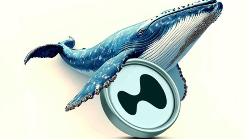 ورود نهنگ‌ها با سرمایه‌گذاری ۴.۱ میلیون دلاری در هایپرلیکویید؛ افزایش قابل توجه قیمت HYPE با بازگشت خریداران