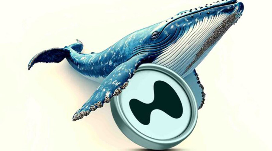 ورود نهنگ‌ها با سرمایه‌گذاری ۴.۱ میلیون دلاری در هایپرلیکویید؛ افزایش قابل توجه قیمت HYPE با بازگشت خریداران