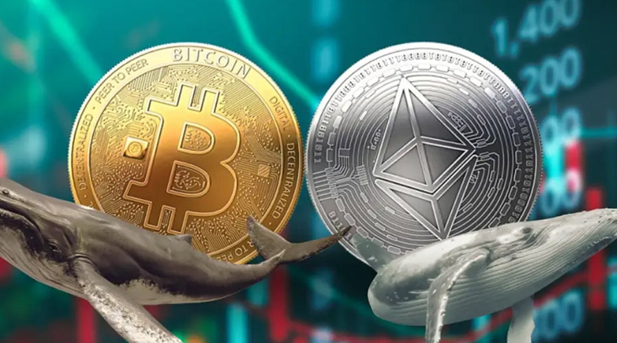 نهنگ‌ها درحال خرید بیت‌کوین و اتریوم