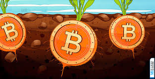 تپ روت بیت کوین و علت سود مندی آن برای بلاک چینBTC